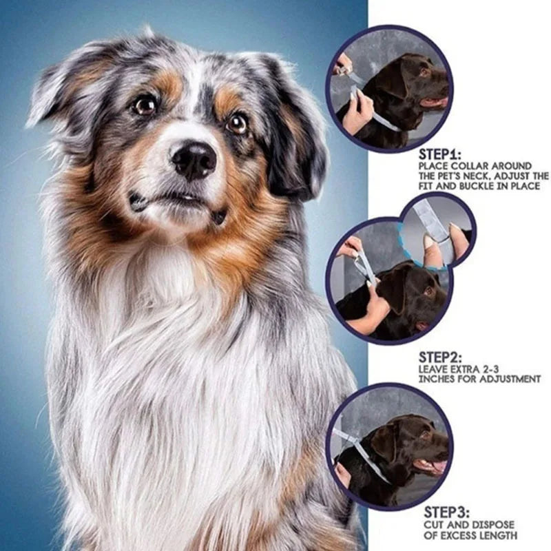 Pet Anti Flea Ticks Antiparasitic Collar for Cat and Dog