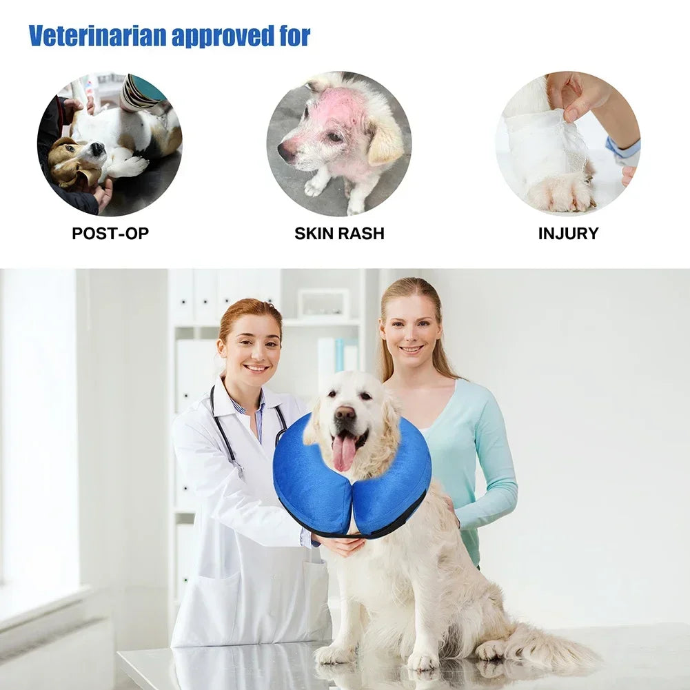 Protective Inflatable Collar for Dogs and Cats