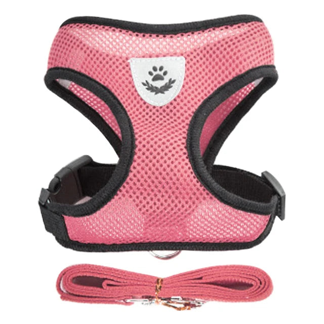 Dog Harness And Leash Set Breathable Vest for Small Dog