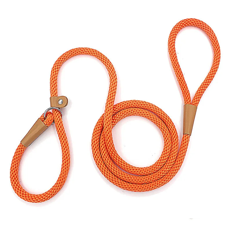 Nylon Slip Lead Dog Leash for No Pull Training