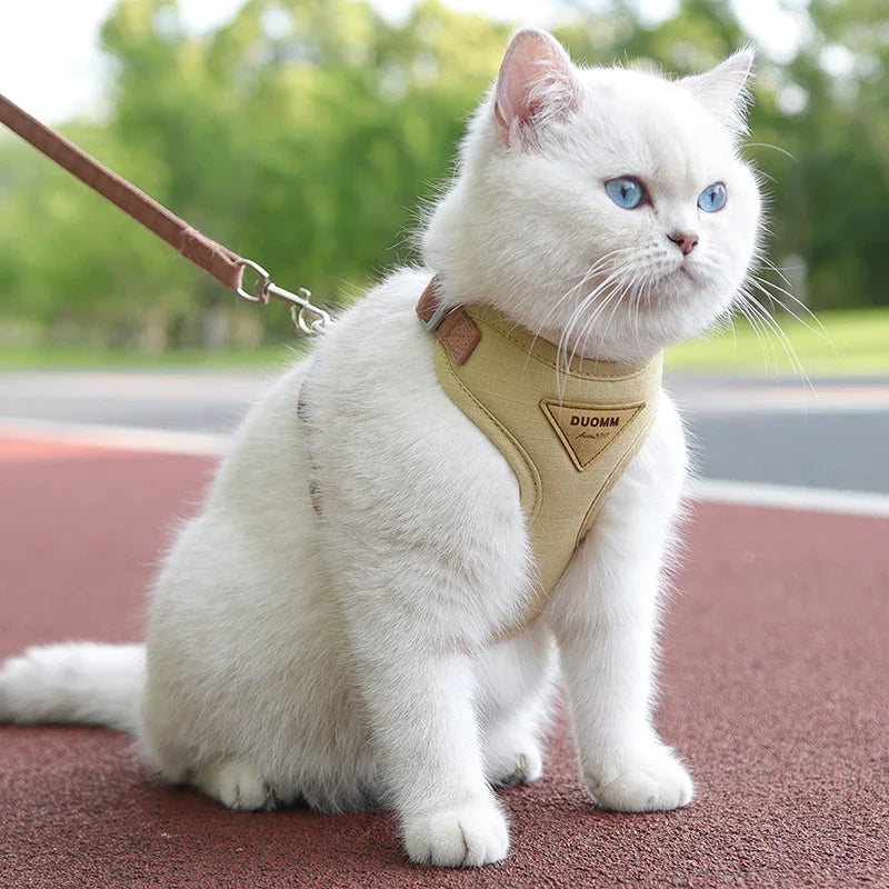 Puppy Harness and Leash Set for Small and Medium Dog
