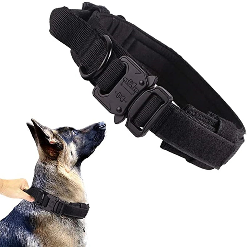 Black dog collars
