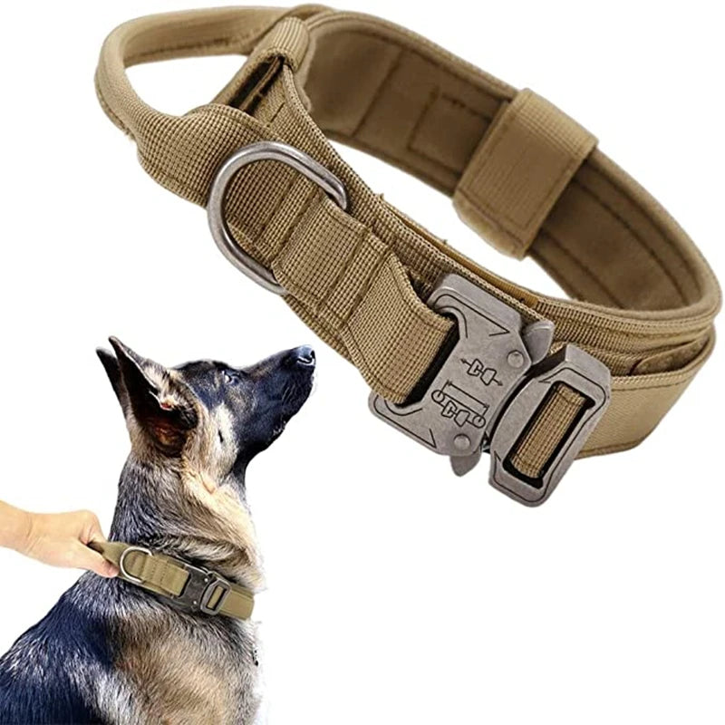 Khaki colour dog collars