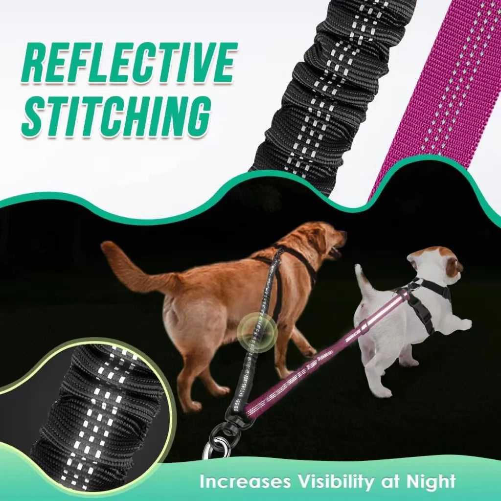 Dual Dog Leash Attachment -  Shock Absorbing Adjustable Strap