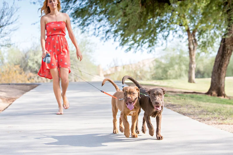 Retractable Dual Dog Leash with LED Light and Poo Bag Holder for Small Dogs
