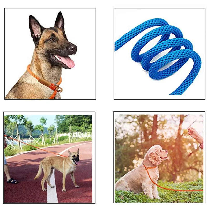 Nylon Slip Lead Dog Leash for No Pull Training