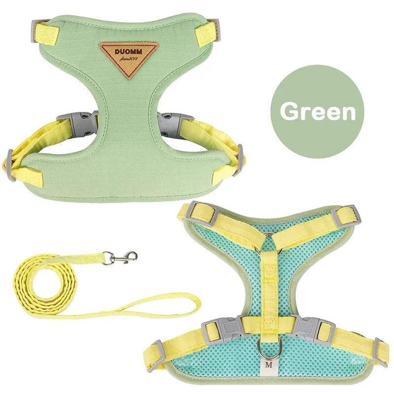 Puppy Harness and Leash Set for Small and Medium Dog