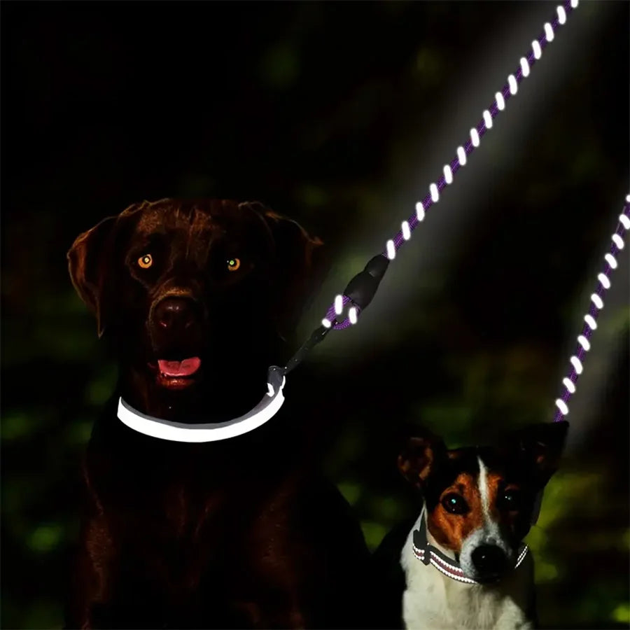 Dual Dog Leash - 360 Swivel Walking Leash for Small Dogs