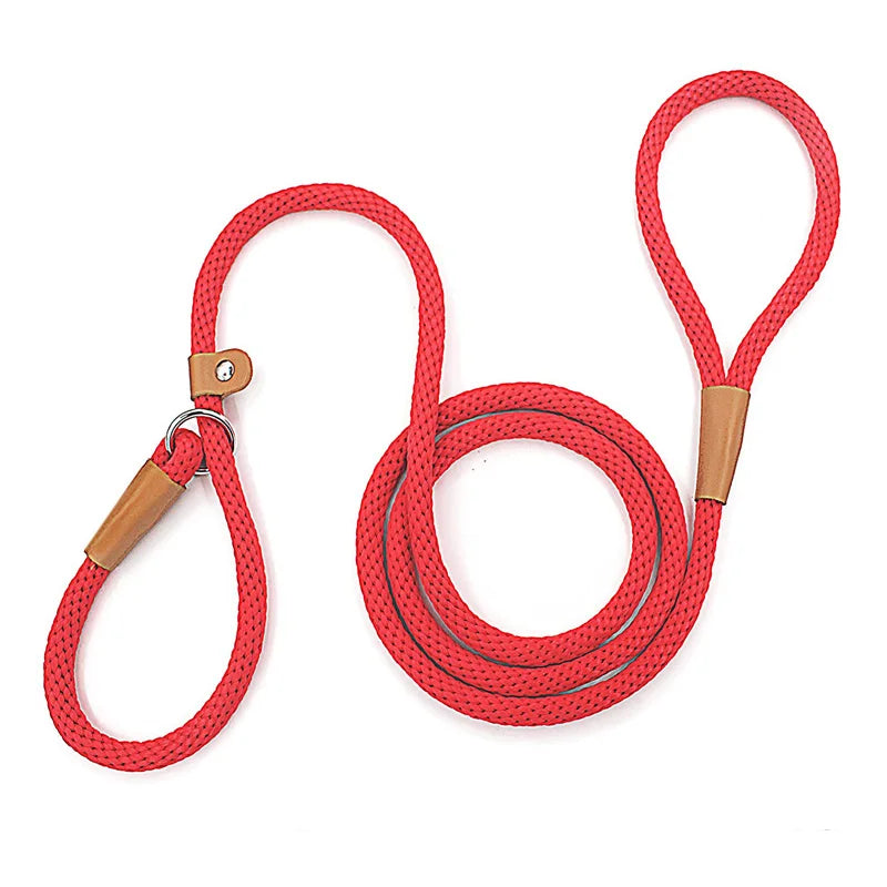 Nylon Slip Lead Dog Leash for No Pull Training