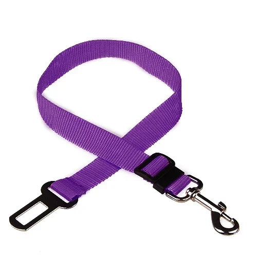 Purple colour dog car seat belt with lead clip