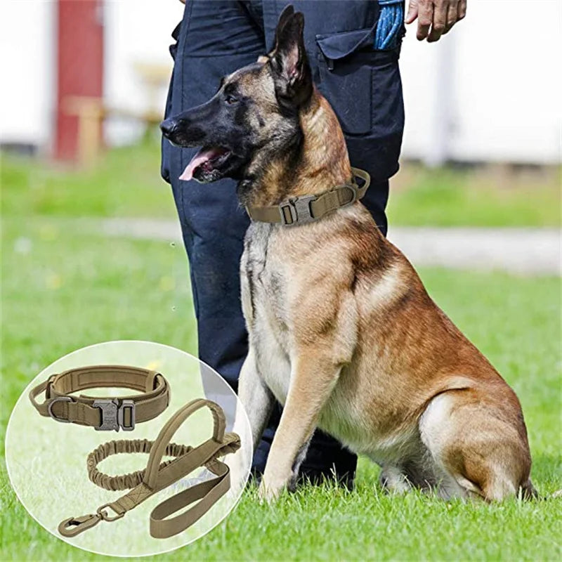 Military-grade dog collars