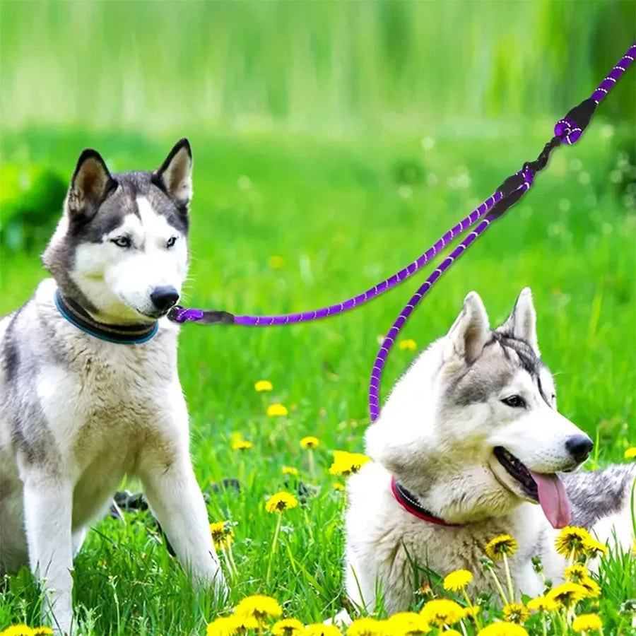 Dual Dog Leash - 360 Swivel Walking Leash for Small Dogs
