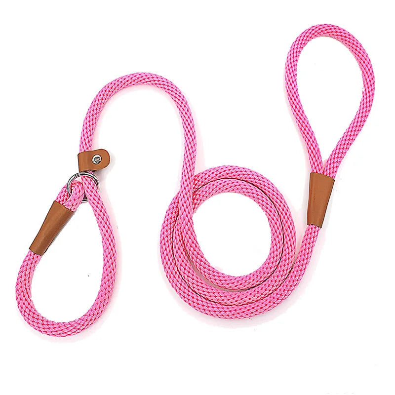 Nylon Slip Lead Dog Leash for No Pull Training