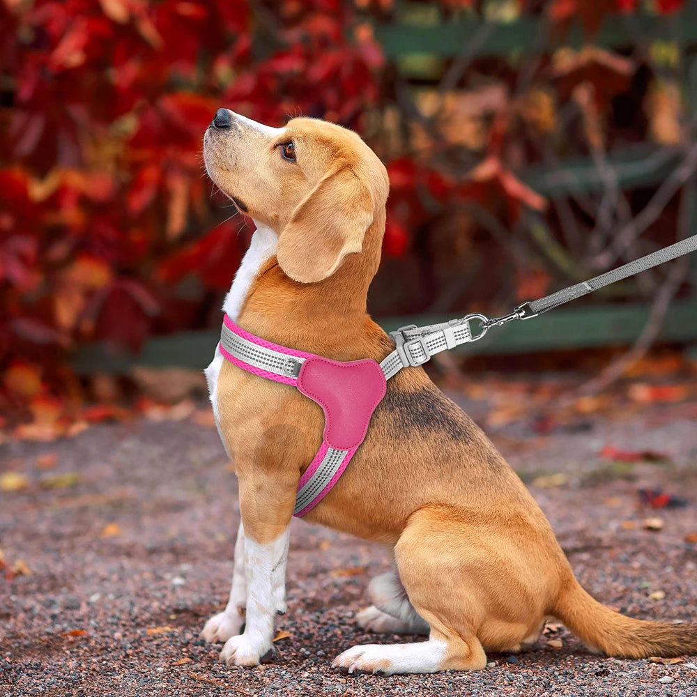 Reflective Nylon Dog Harness Breathable Mesh for Small Medium Dogs