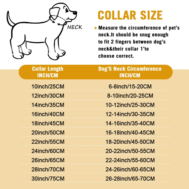 Stainless Steel Dog Chain Collar