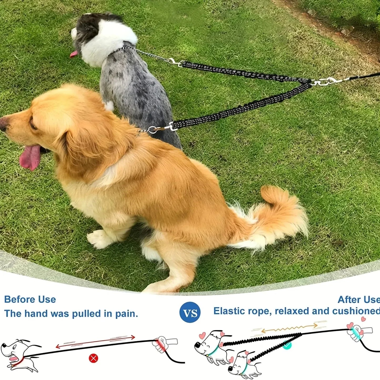 Pet Dog Double Leashes Elastic Extendable for Small Medium Dog