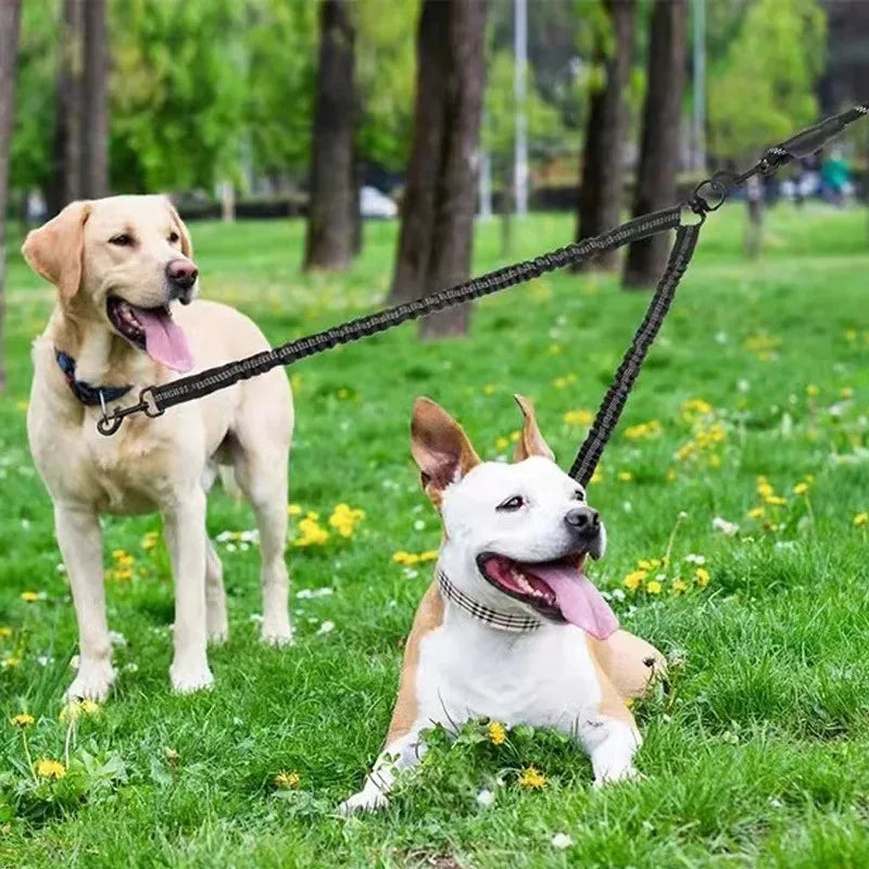 Pet Dog Double Leashes Elastic Extendable for Small Medium Dog