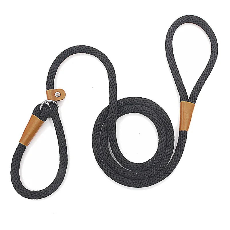 Nylon Slip Lead Dog Leash for No Pull Training