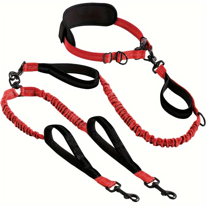 Dual Leads Hands Free Shock Absorbing Dog Leash