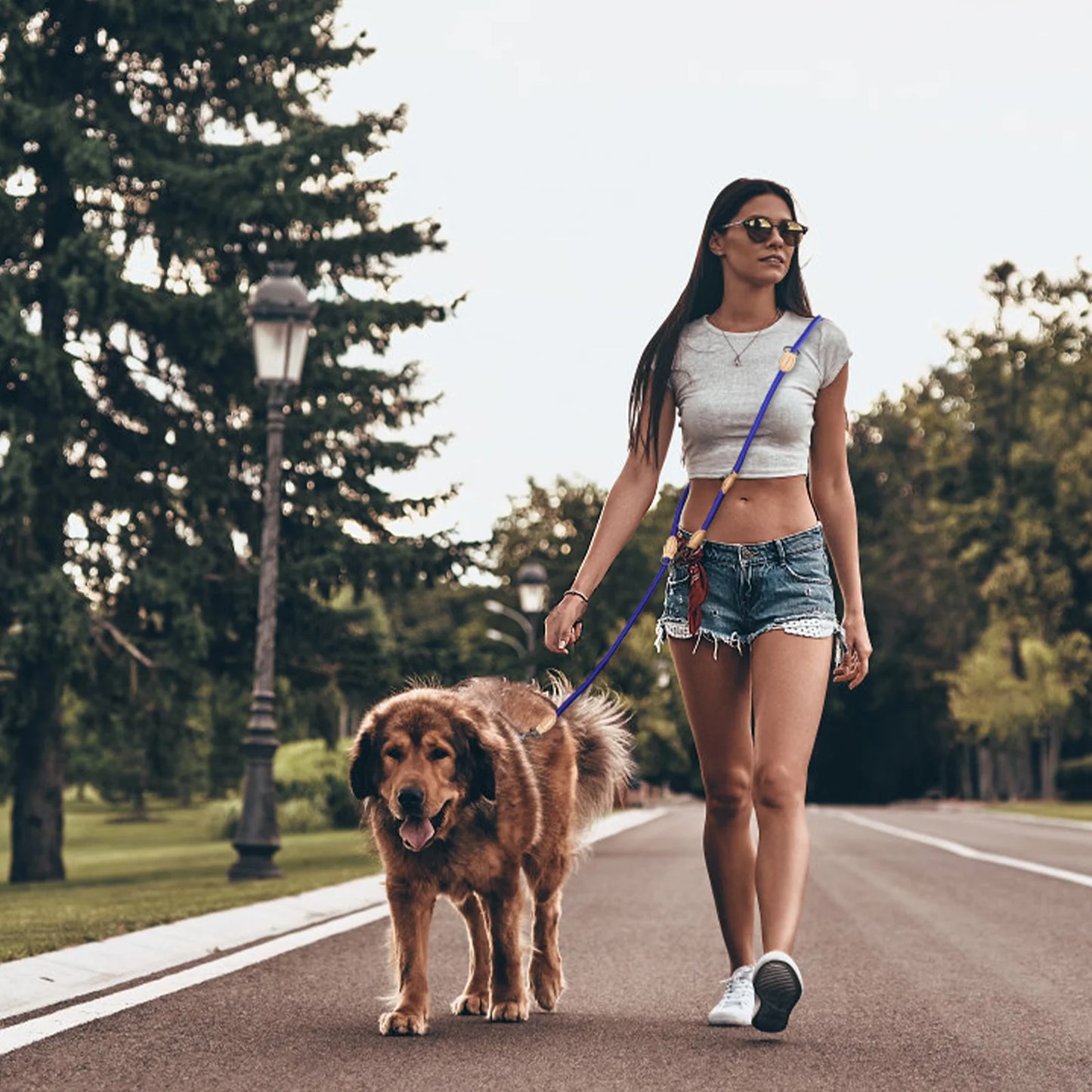 Multipurpose Double Sided Leash For 2 Small Medium Dogs