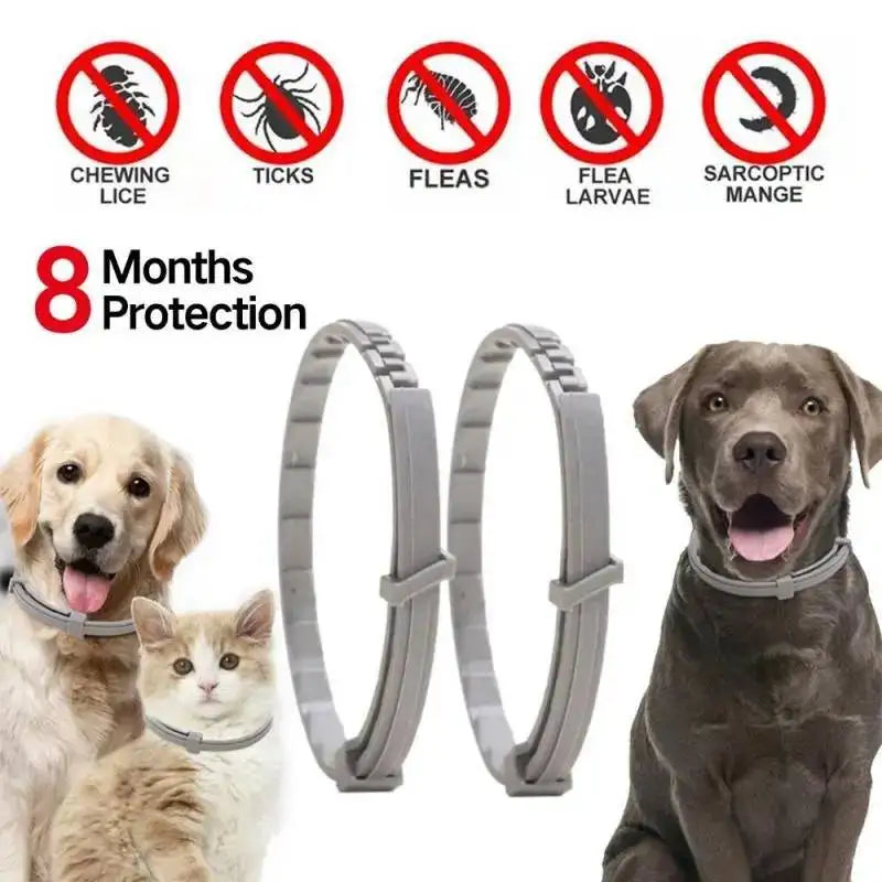 Pet Anti Flea Ticks Antiparasitic Collar for Cat and Dog