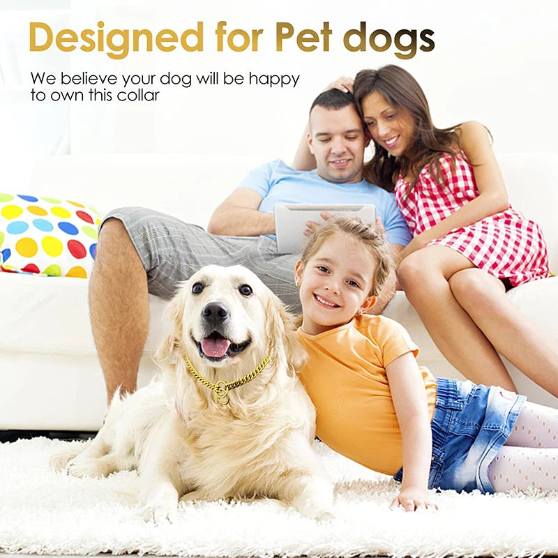 Stainless Steel Dog Chain Collar