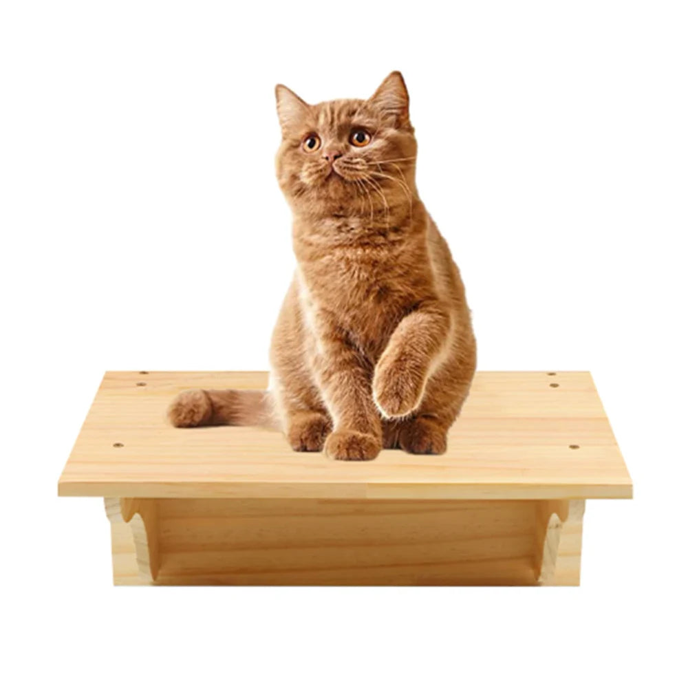 Wall Mounted Cat Hammock Bed and Scratching Post