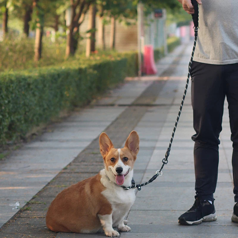Dog Slip Collar No Pull Reflective Martingale Sliding Stopper