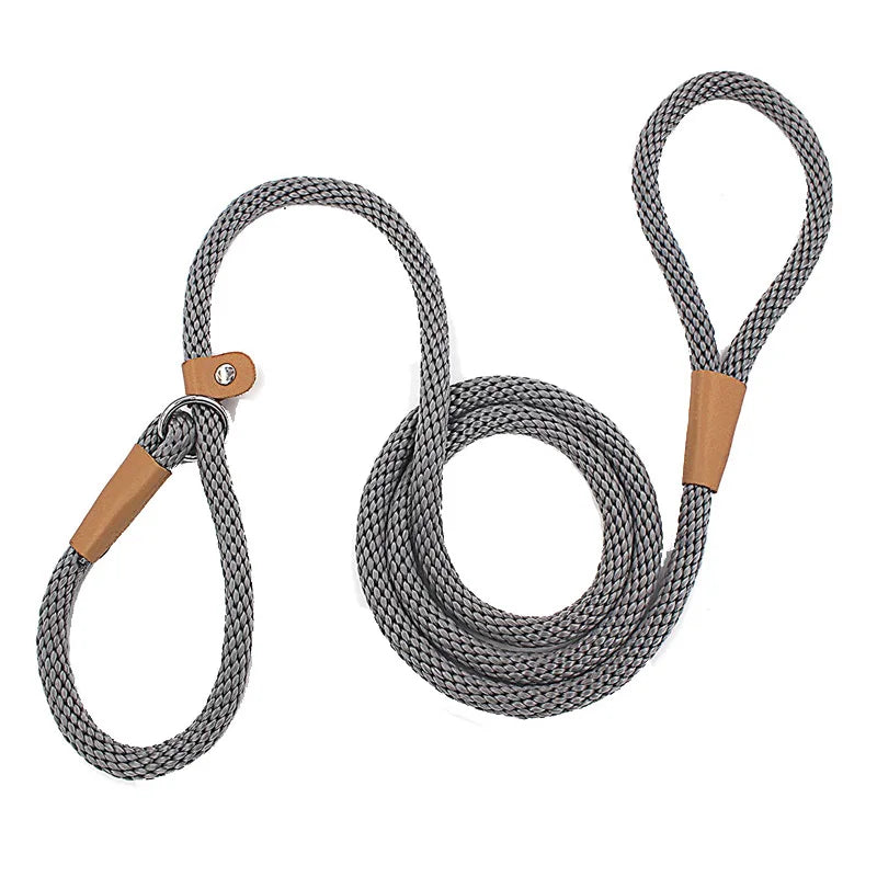 Nylon Slip Lead Dog Leash for No Pull Training