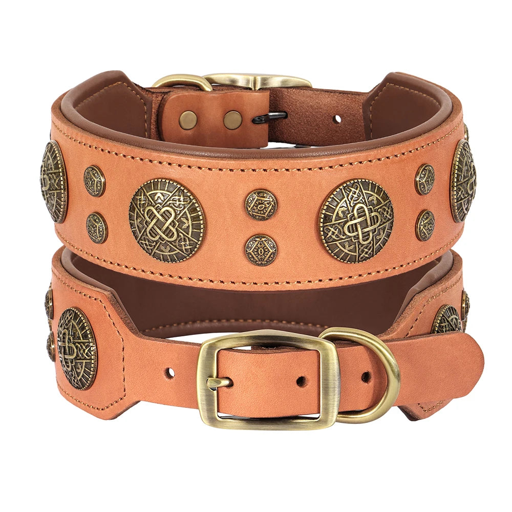 Genuine Leather Dog Collar Cool Spiked Studded for Medium Dogs