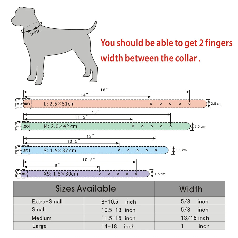 Bling Rhinestone Personalized Collar for Small Dog and Cat