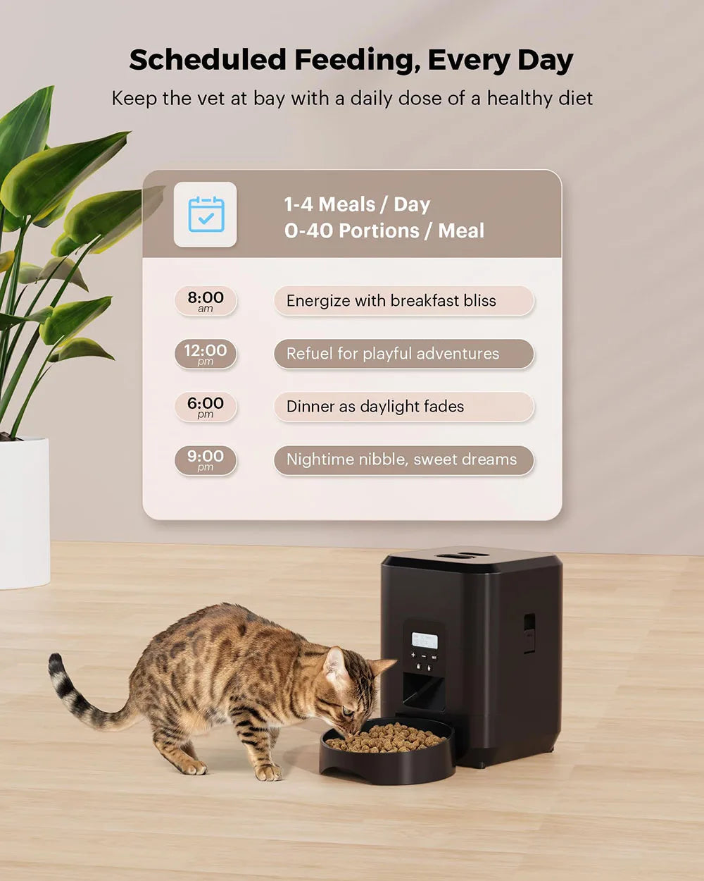 Automatic scheduled feeding feeder