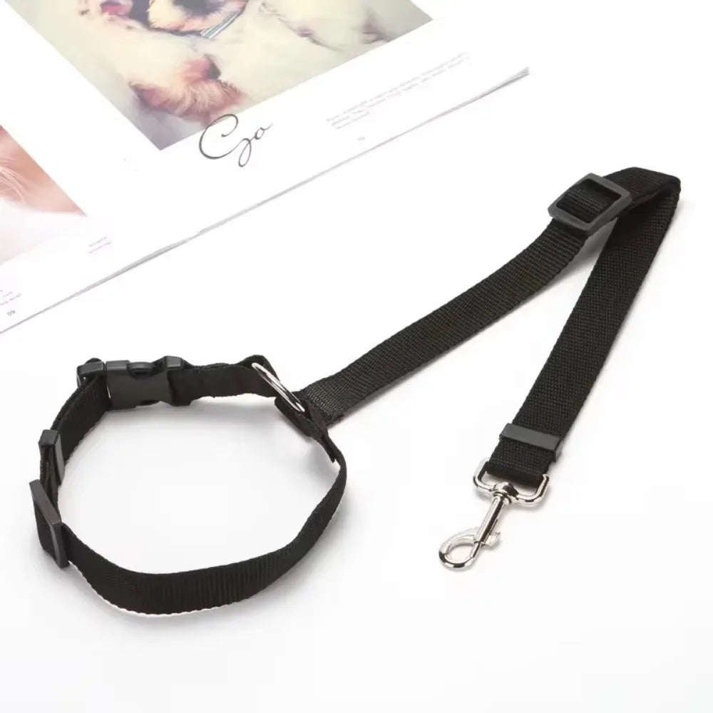 Black colour dog car seat belt and leash