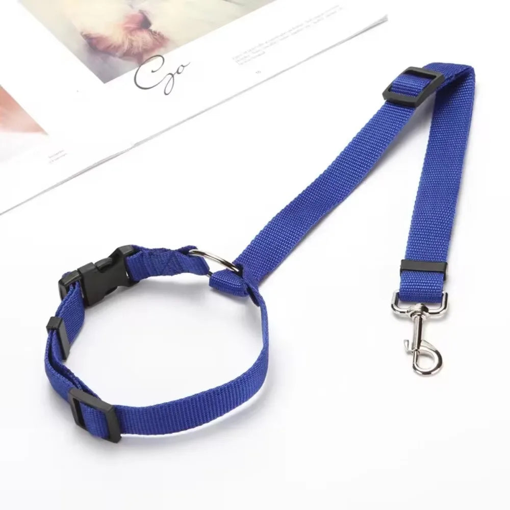 Blue colour dog car seat belt and leash