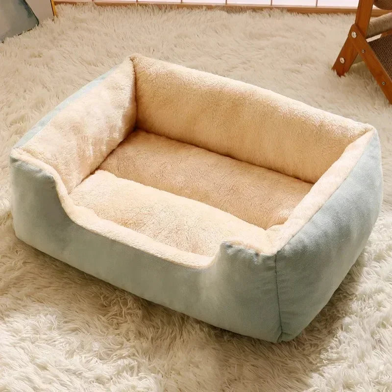 Blue dog beds