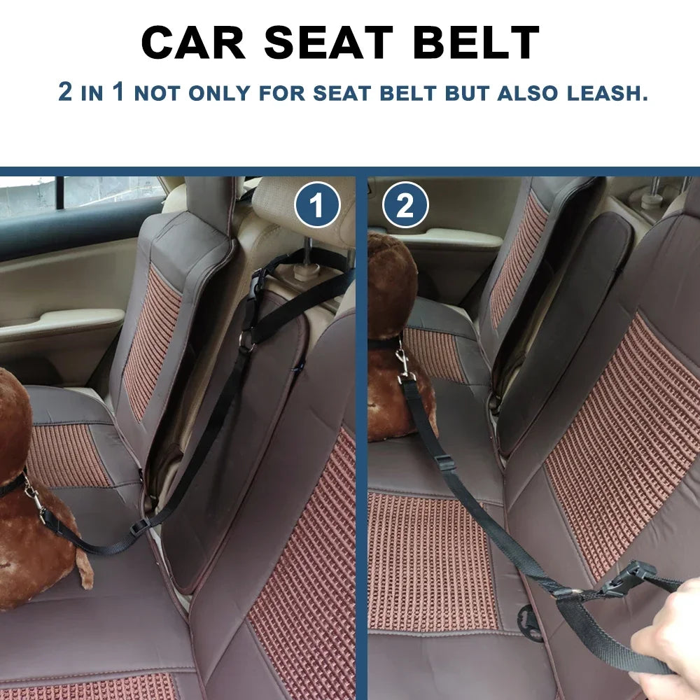Car seat belt with leash