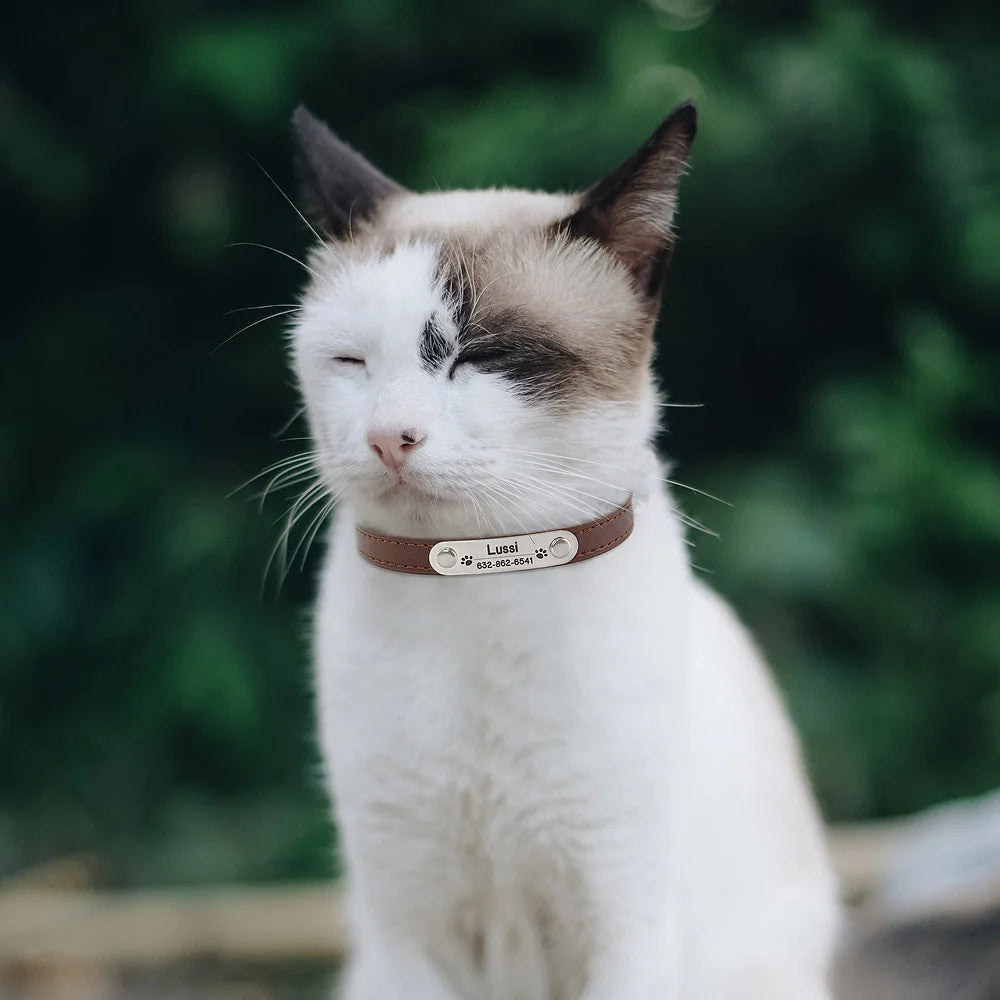 Cat collar with name