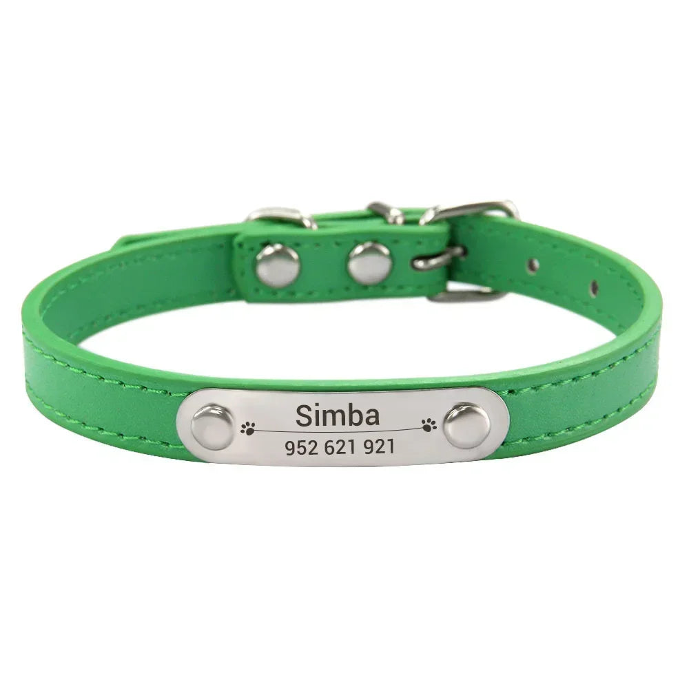 Cat dog collar colour green