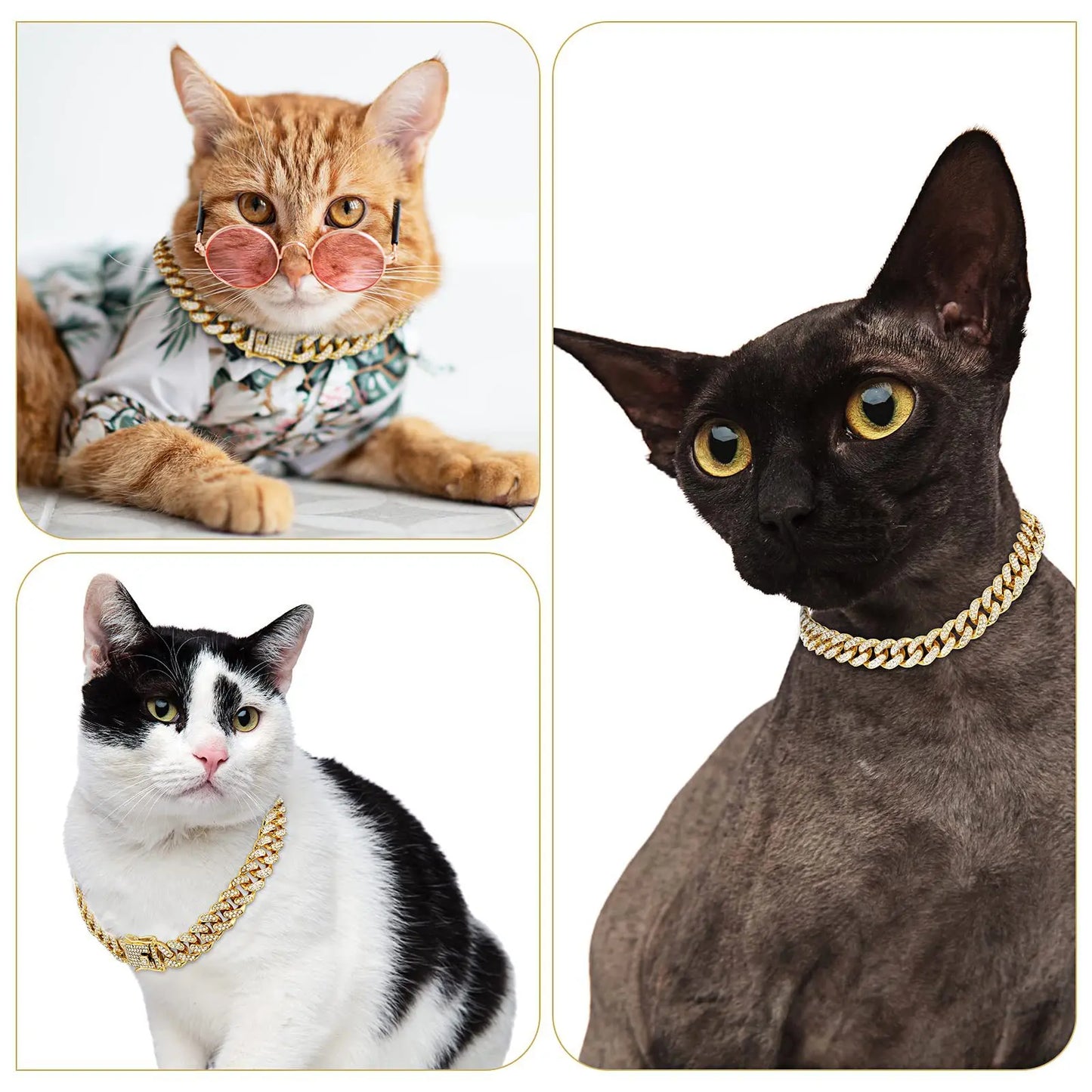 Chain collar for dog and cat