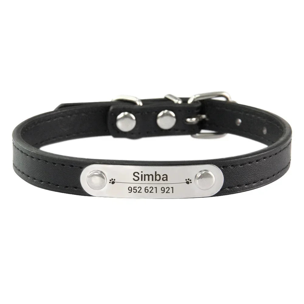 Colour black cat dog collar with name