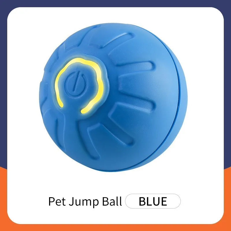 Colour blue auto matic dog toy