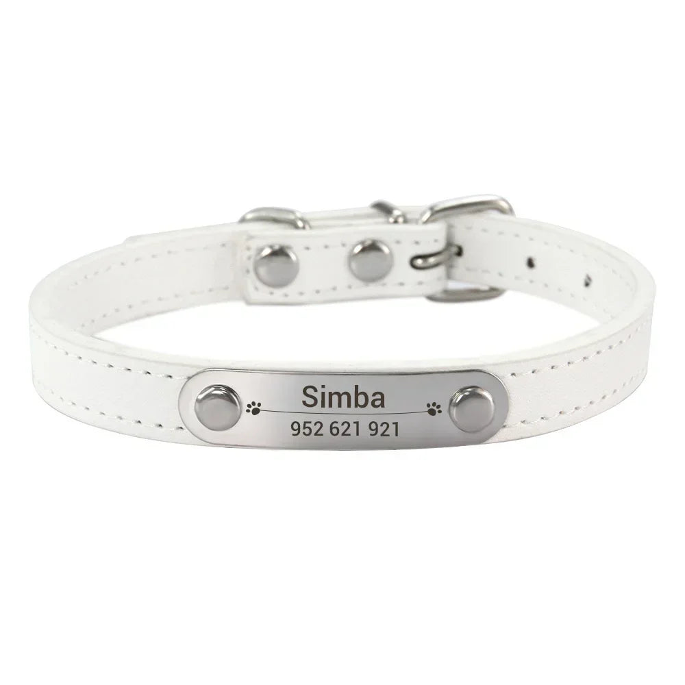 Colour white cat dog collar with name