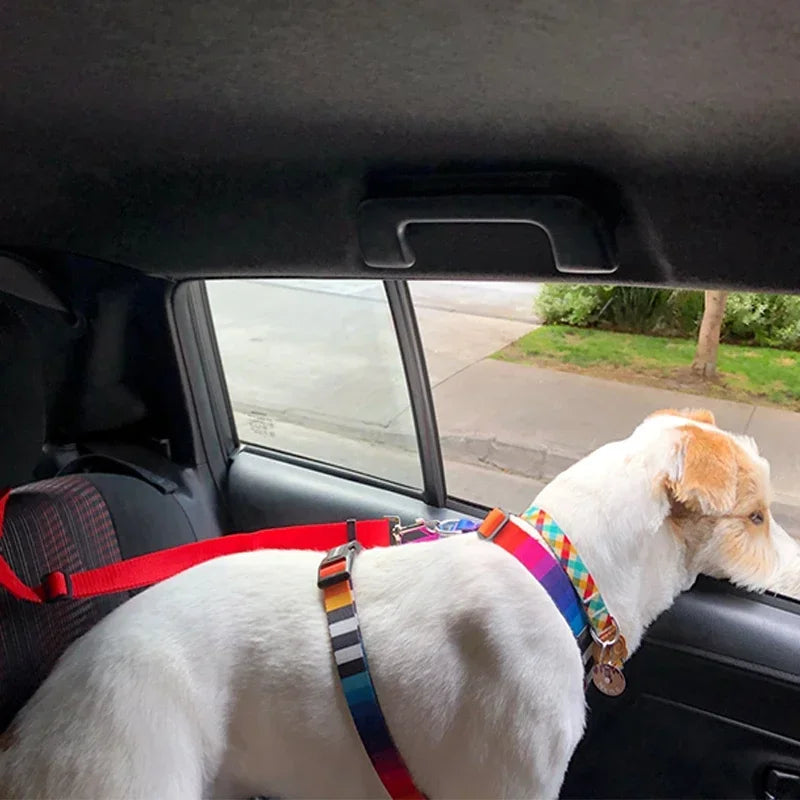 Comfortable seat belt and leash for dog