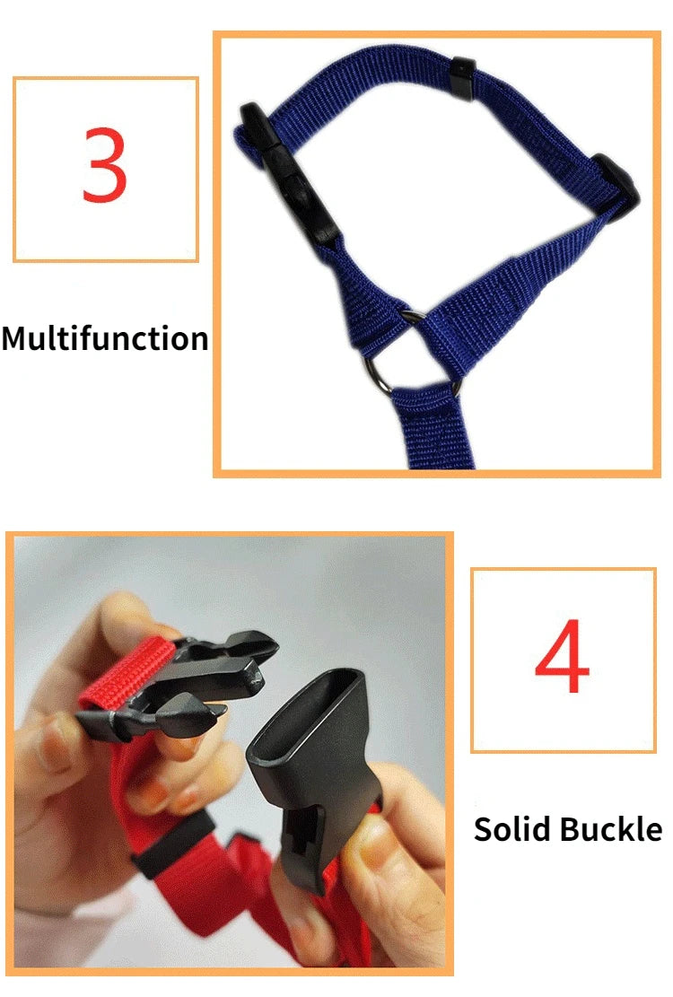 Details of dog car seat belt and leash
