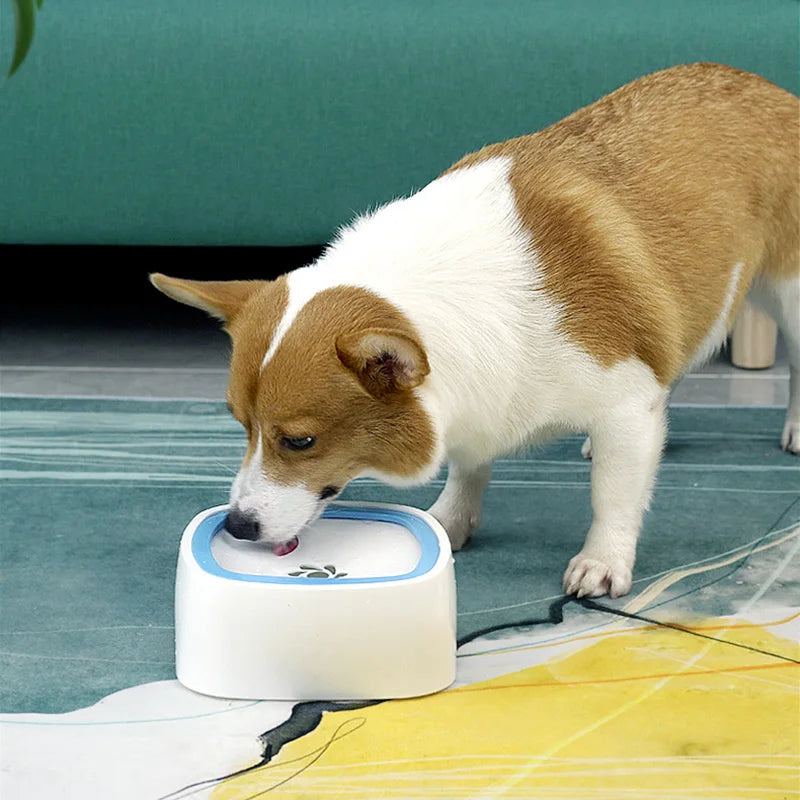 Dog automatic water bowl