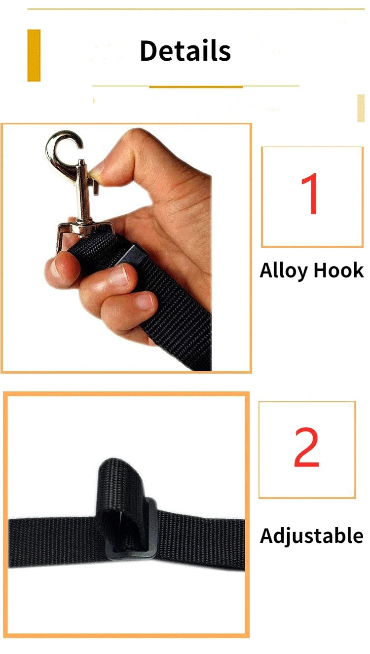 Dog car seat belt and leash with details