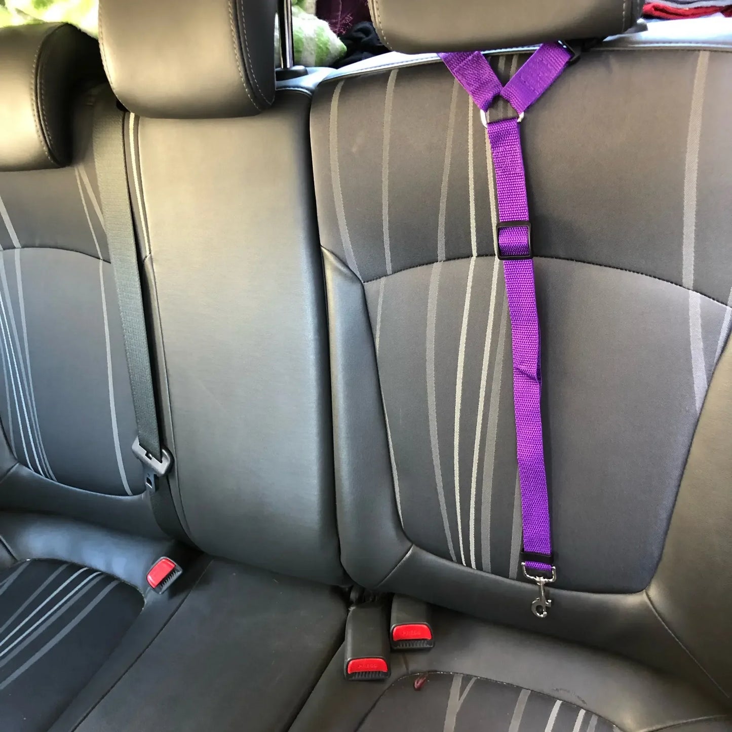 Dog car seat belt and leash