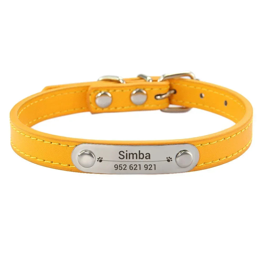Gold colour cat dog collar with name