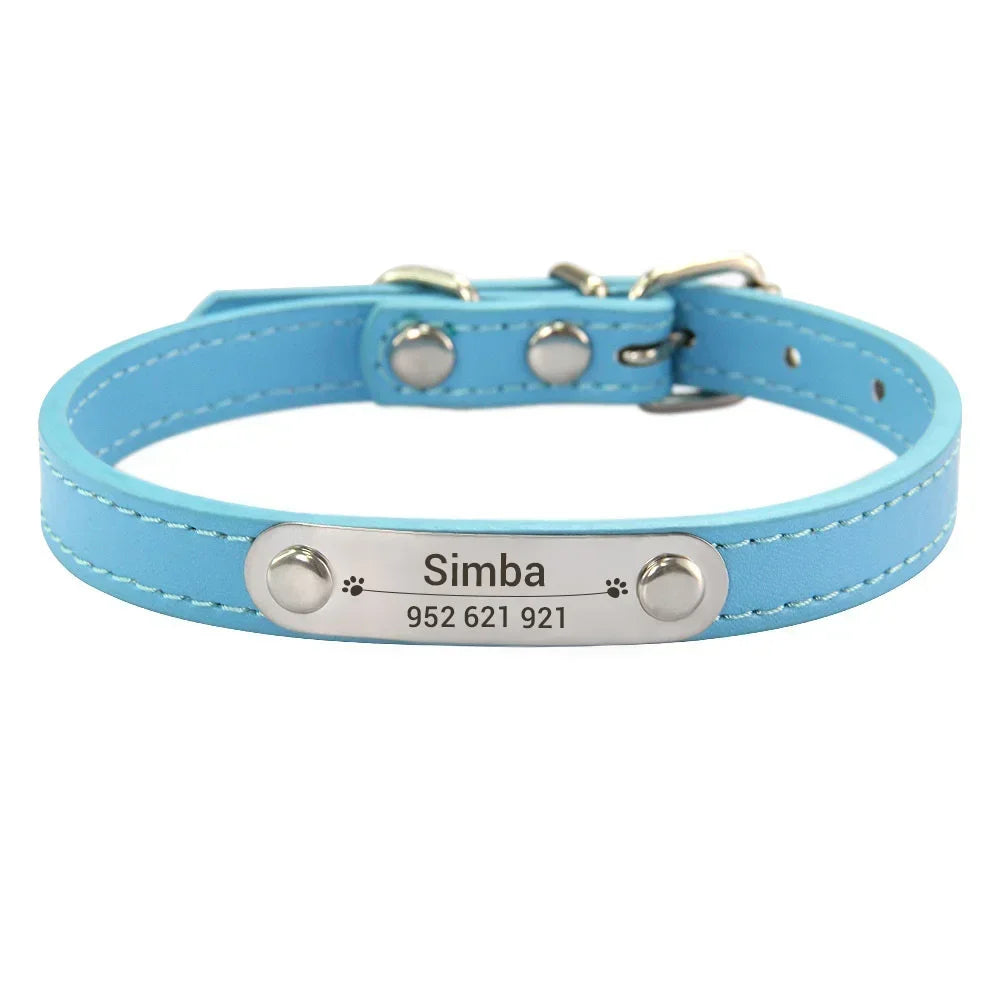 Lake blue colour cat dog collar with name