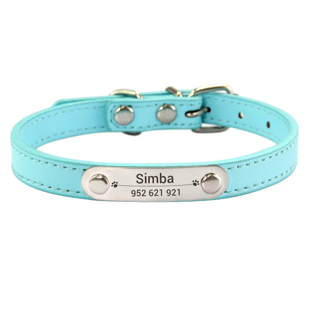 Light blue colour cat dog collar with name